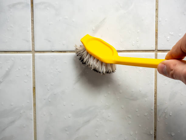 Best Mold Remediation  in Beggs, OK