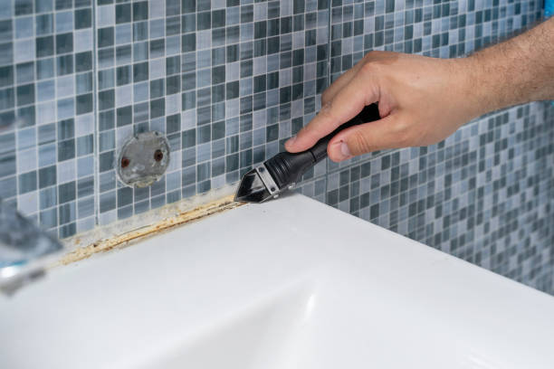 Best Best Mold Removal Companies  in Beggs, OK