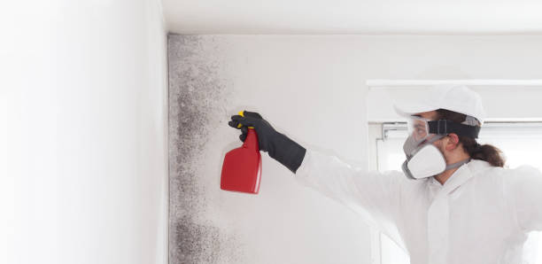 Best Certified Mold Removal  in Beggs, OK