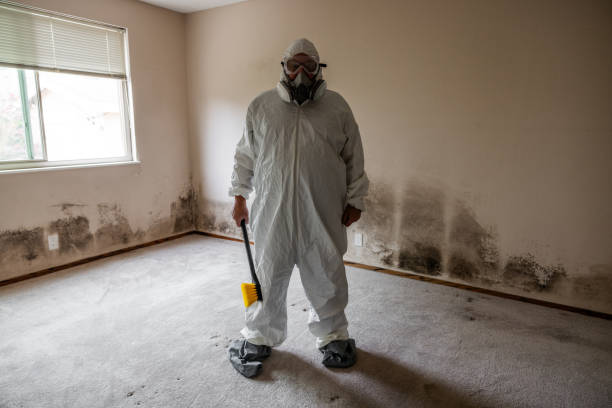 Best Black Mold Removal  in Beggs, OK