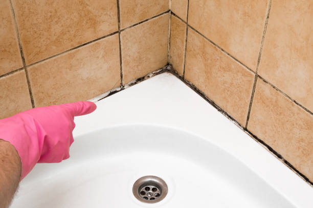 Best Emergency Mold Removal  in Beggs, OK